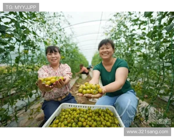 ag捕鱼王官网入口最新登录指南帮助玩家顺利进入游戏体验精彩捕鱼乐趣